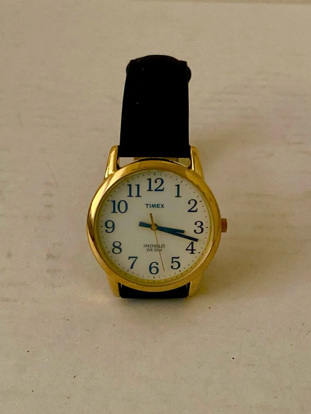 Timex Unisex  Indiglo Easy Reader Gold Case Watch with Black Strap